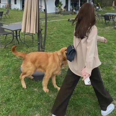追逃